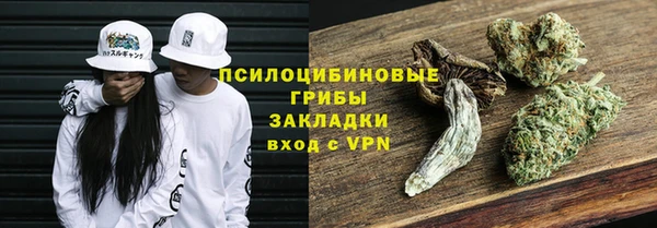 прущие крисы Надым
