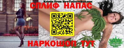 синтетический гашиш Кингисепп